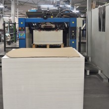 Sheet-fed offset printing, digital printing, large-format printing